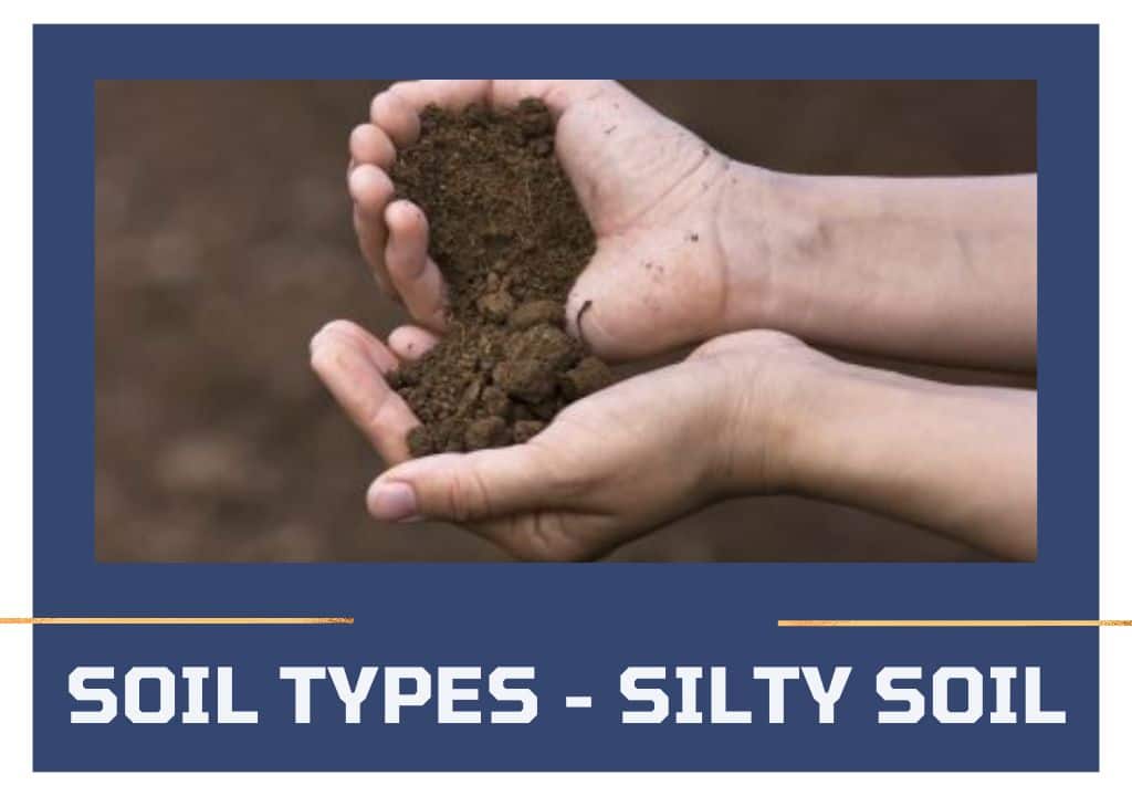 Soil Types - Silty Soil