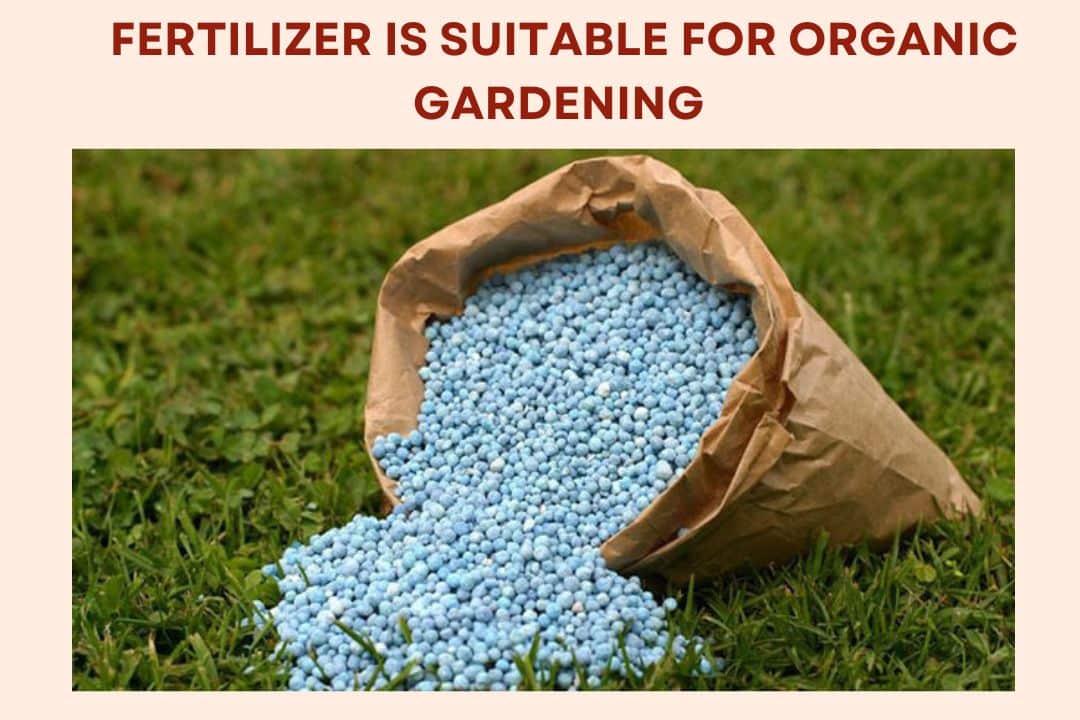 Alternatives to Triple 16 Fertilizer