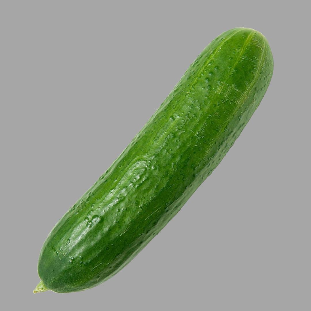 Is Cucumber a Melon