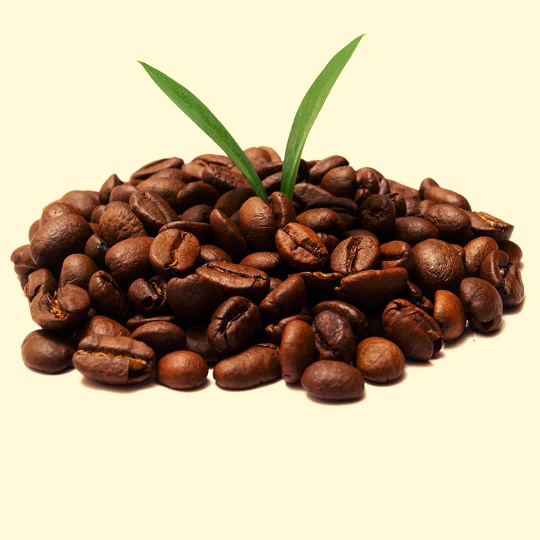 Benefits of Using Coffee Grounds For Your Garden