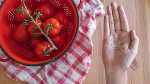 Simple Steps to Save Tomato Seeds