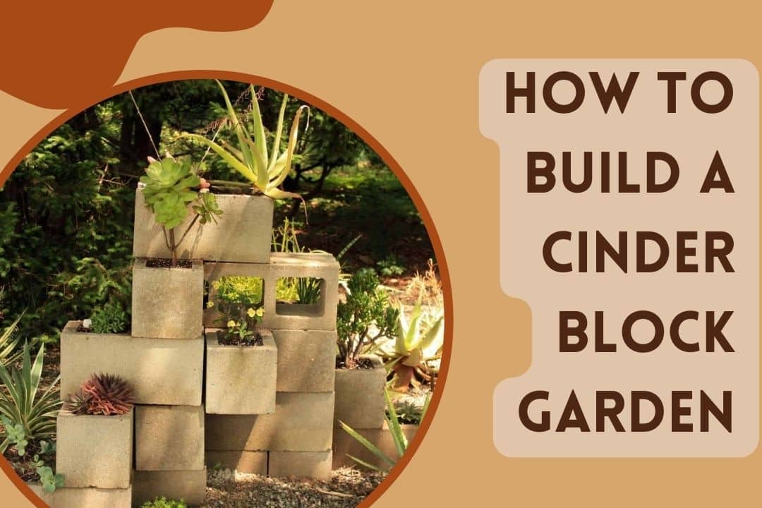 How to Build a Cinder Block Garden