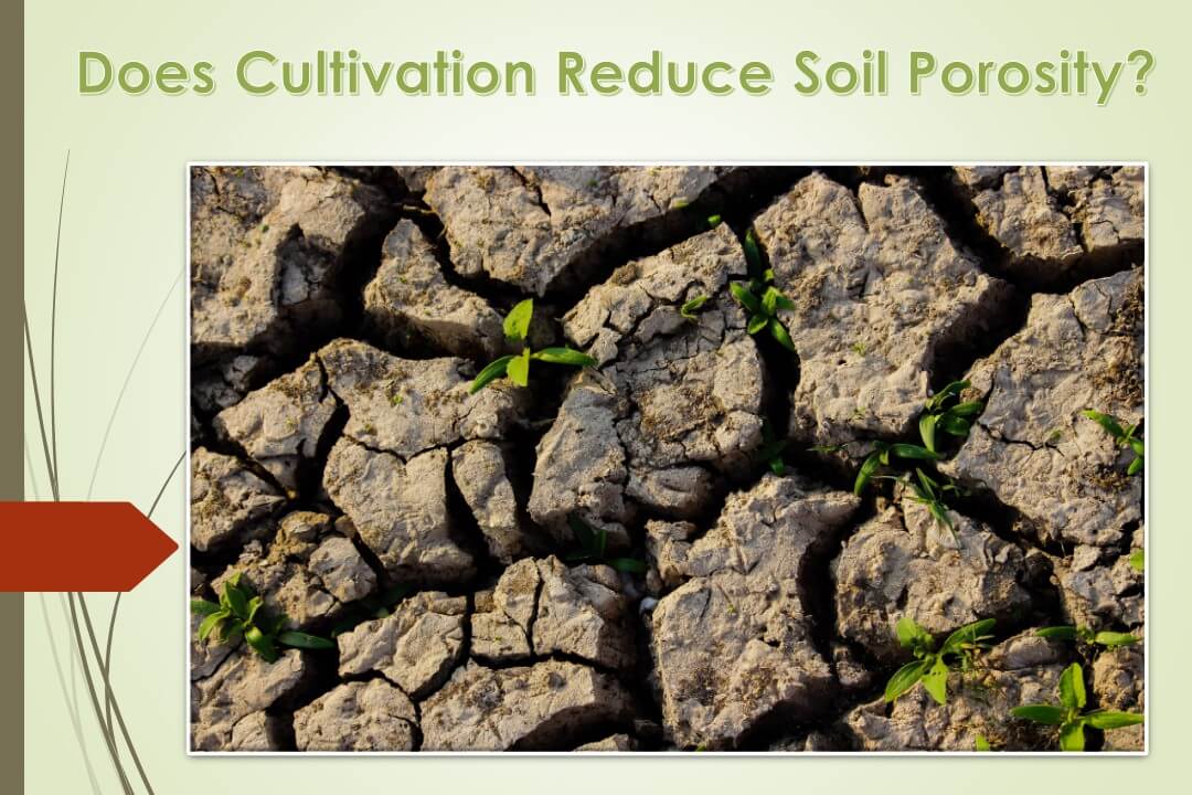 Does Cultivation Reduce Soil Porosity