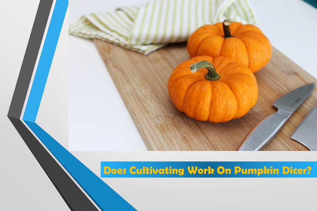 Does Cultivating Work On Pumpkin Dicer